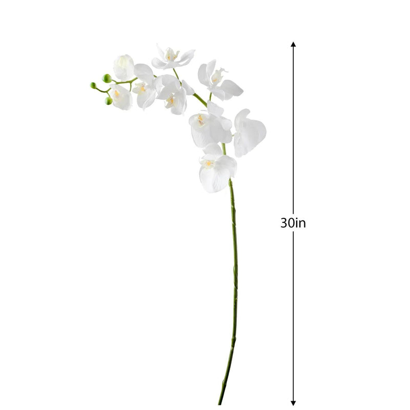 Orchid | White Single Stem