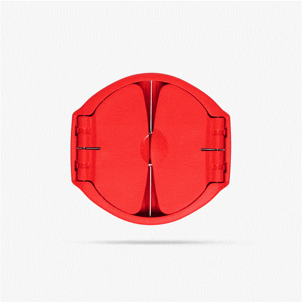 Flapple | Red