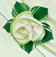 Colour Trimmed Cloth Napkin