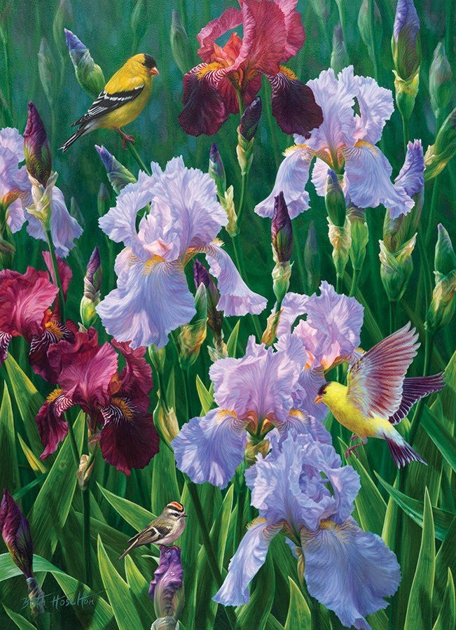 1000 Piecce Puzzle | Spring Glory