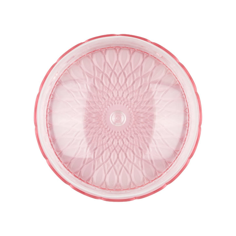Vanity Small Cake Dome | Flamingo Pink