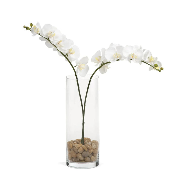 Orchid | White Single Stem