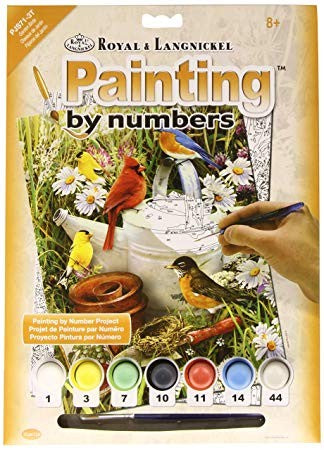 Paint by Number | Garden Birds