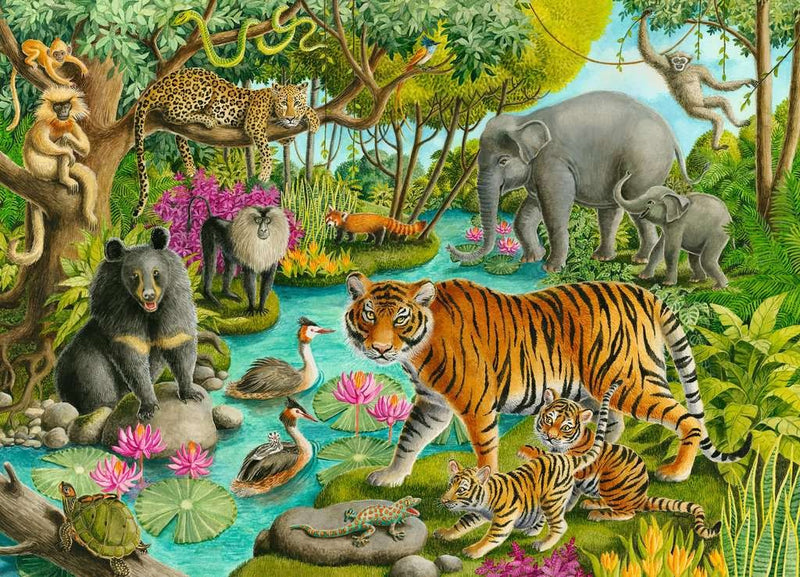 60 Piece Puzzle | Animals of India