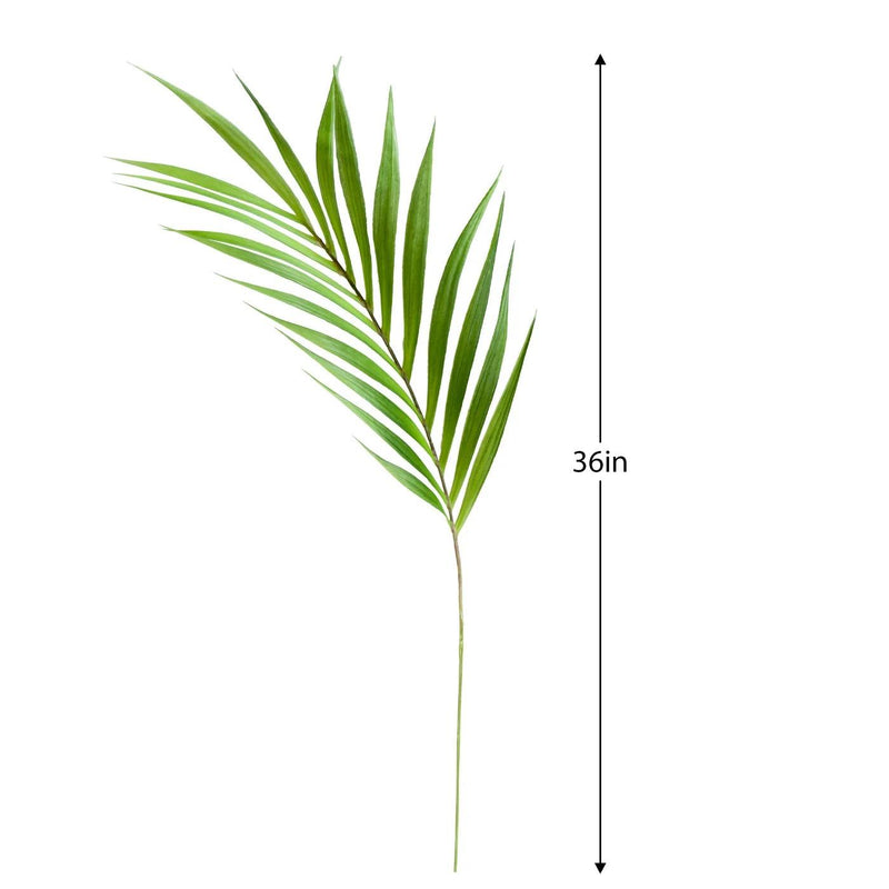 Palm Leaf | 36 Inch