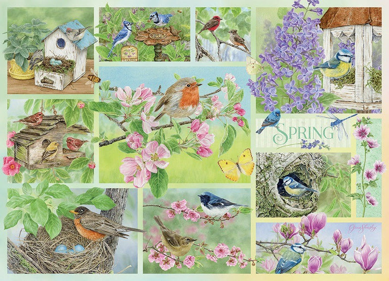 500 Piece Puzzle | Garden Birds in Spring