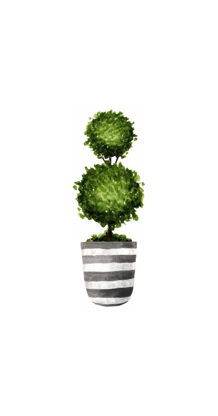 Guest Towels | Topiary