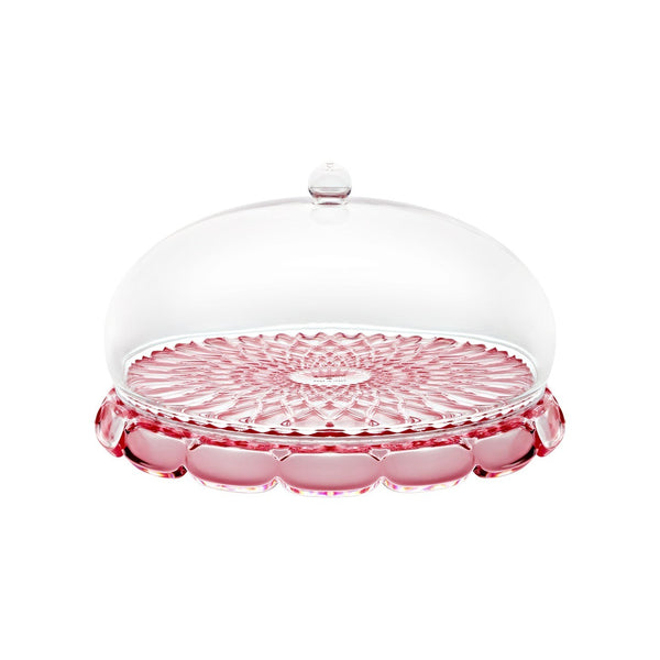 Vanity Small Cake Dome | Flamingo Pink