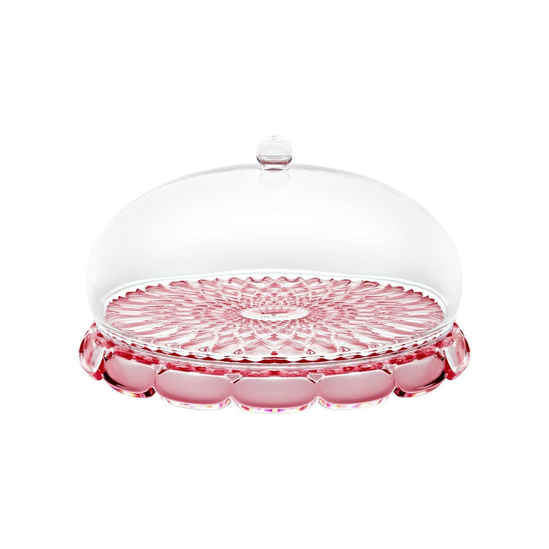 Vanity Small Cake Dome | Flamingo Pink