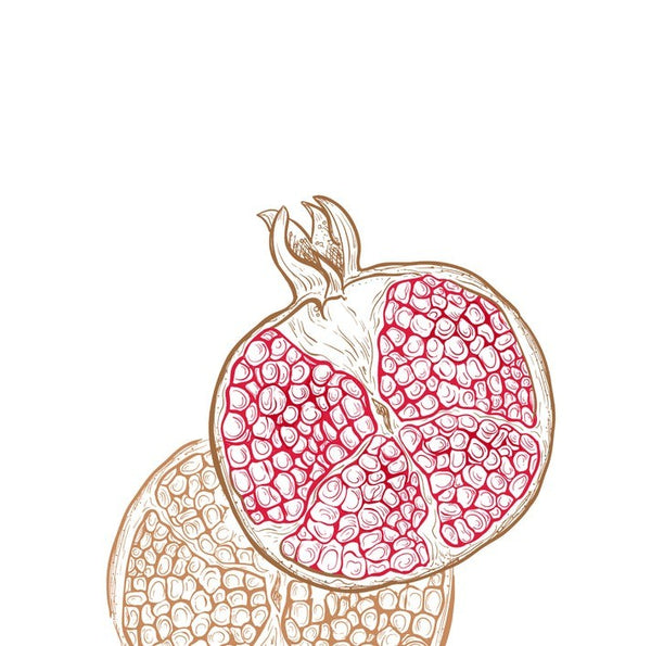 Cocktail Napkins | Maron Pom