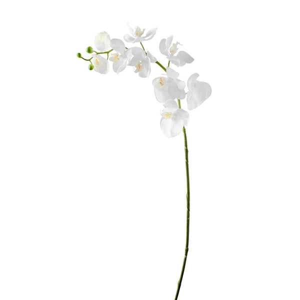 Orchid | White Single Stem