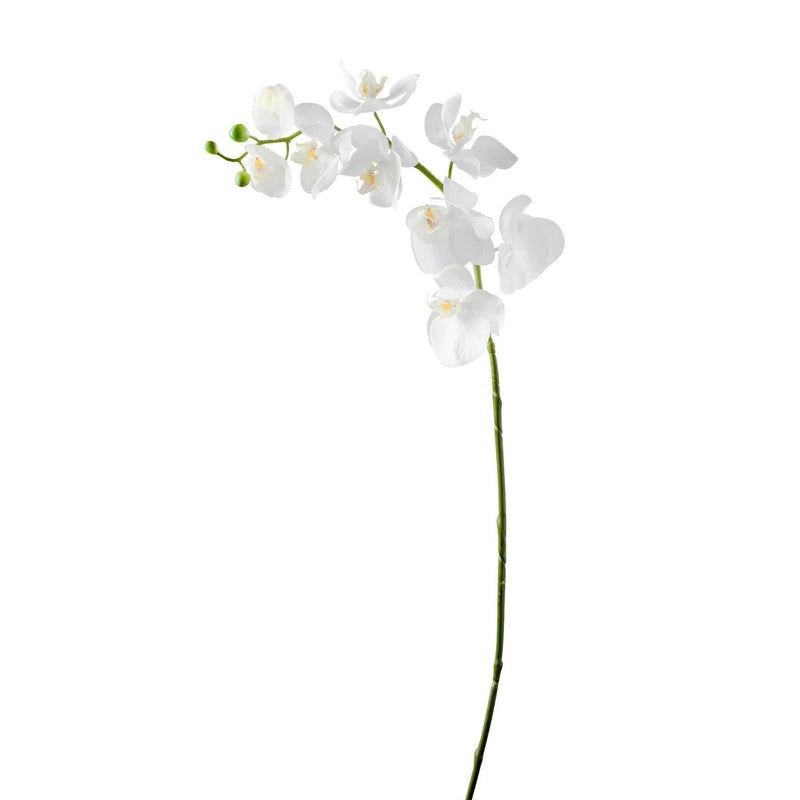 Orchid | White Single Stem