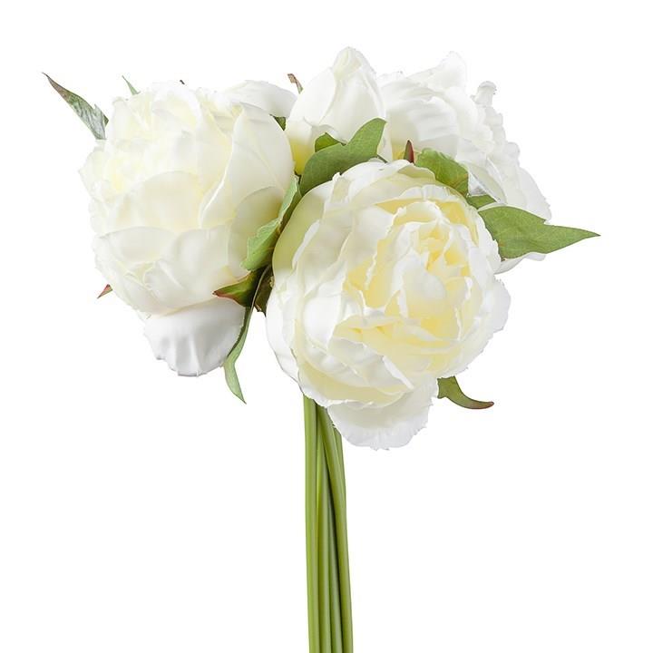 Peony Bouquet - Creme