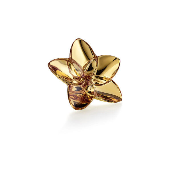 Bloom - Metallic Gold