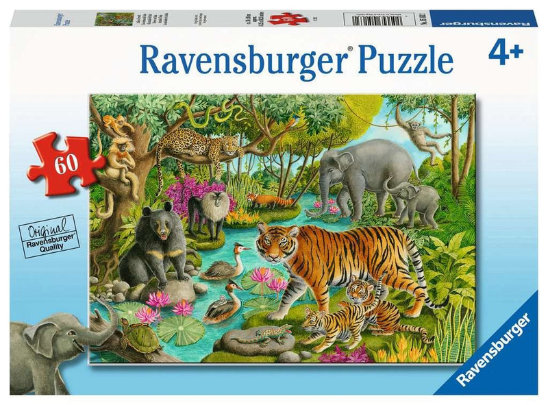 60 Piece Puzzle | Animals of India
