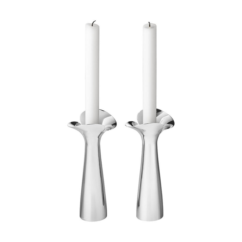 Bloom Botanica Candle Holders