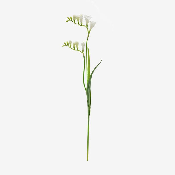 Flower Stem | Freesia | White