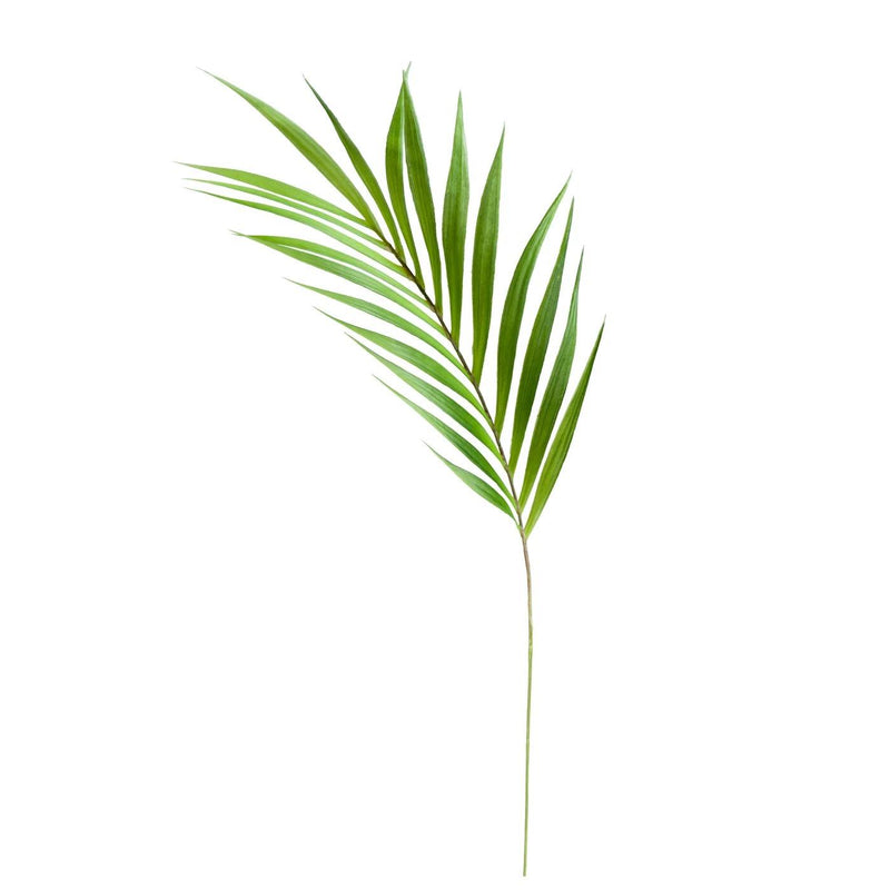 Palm Leaf | 36 Inch