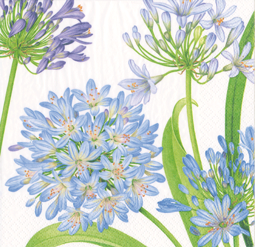Luncheon Napkin | Agapanthus