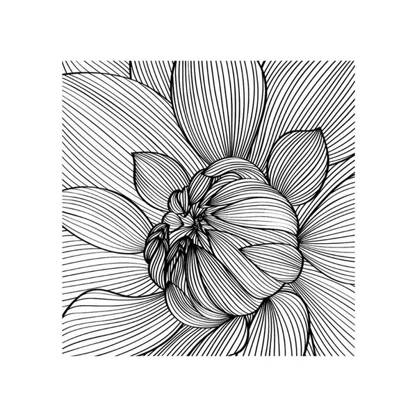 Large Tea Box | White Flower