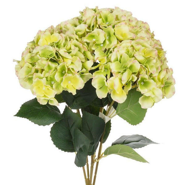 Hydrangea Bouquet | Green