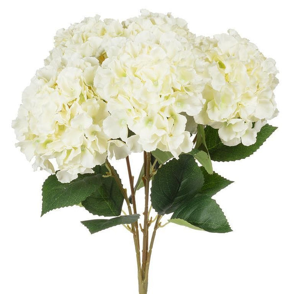 Hydrangea Bouquet | White