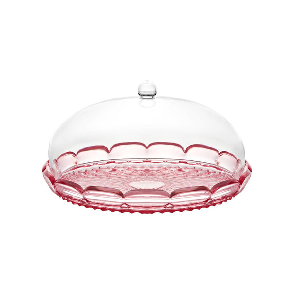 Vanity Small Cake Dome | Flamingo Pink