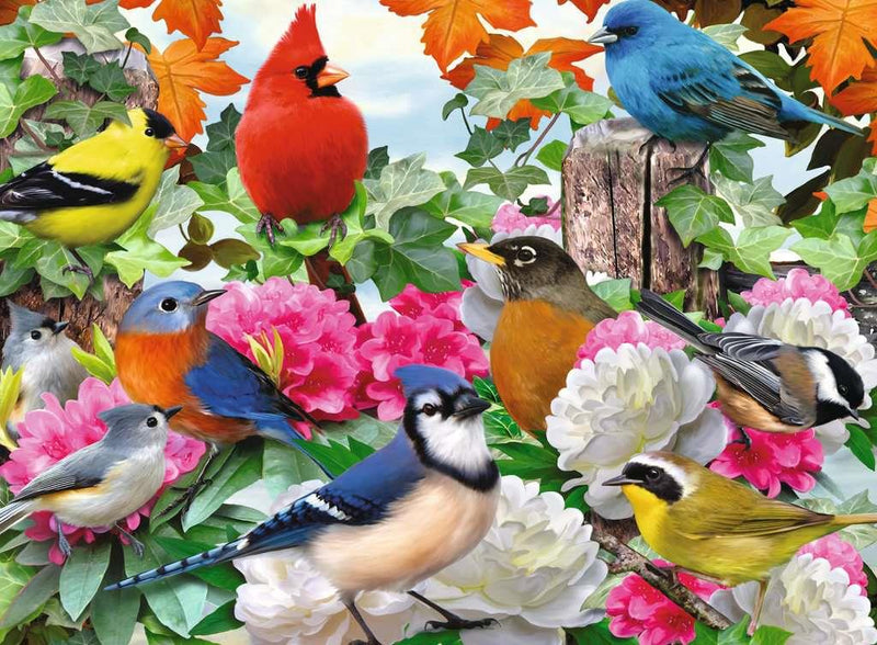 Ravensburger 500 Piece Puzzle | Garden Birds | Wrapt