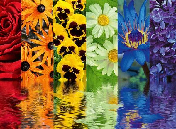 500 Pc Puzzle Floral Reflections