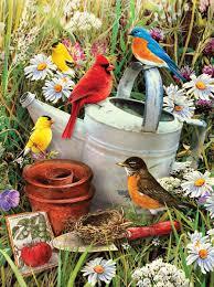 Paint by Number - Garden Birds