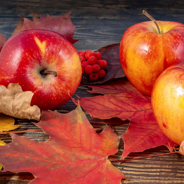 Luncheon Napkins | Autumn Apples | Kitchen Art | Wrapt